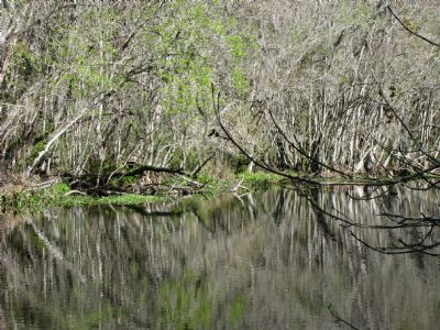 Ocklawaha River Watershed